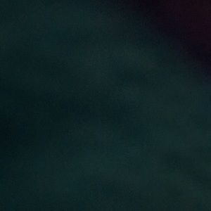 Meet your Posher, Daniela